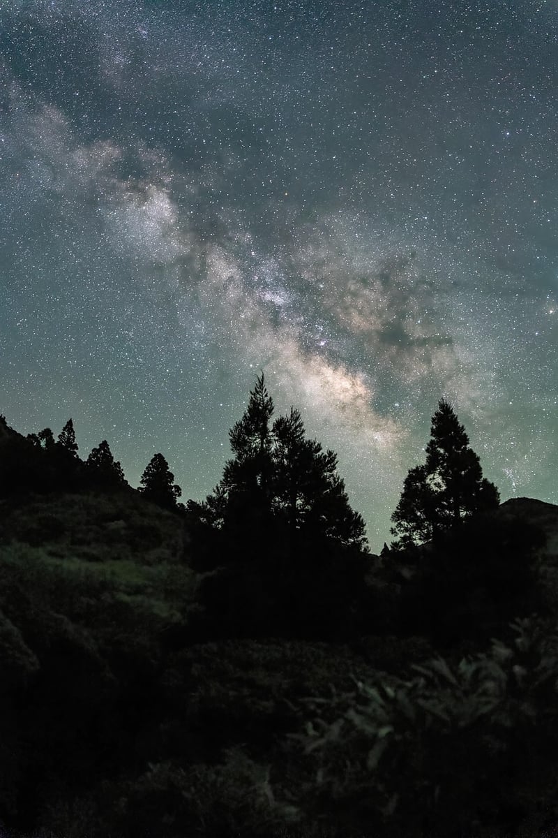 Milky Way Reception