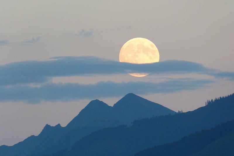 Moon Wedding